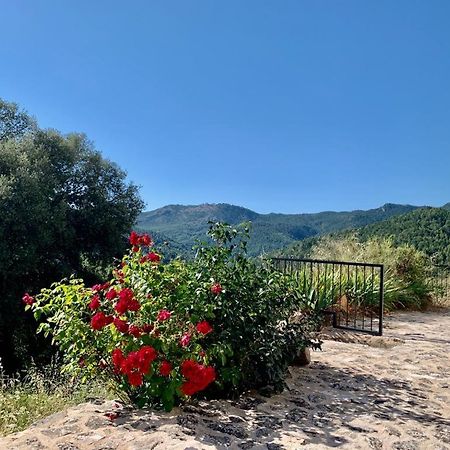 Casa En Valle Del Tus Yeste Exteriör bild